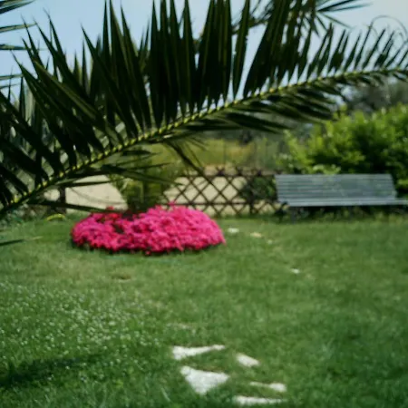 Villa Oasi Dei Gelsomini *
