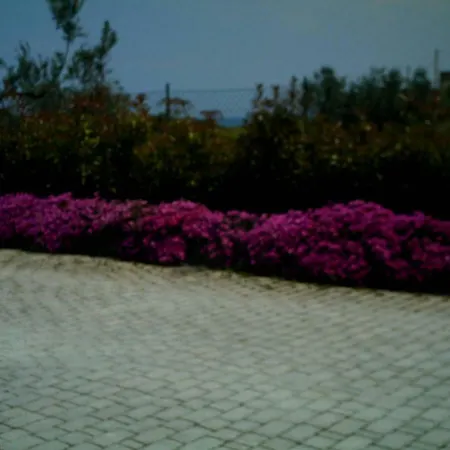 Oasi Dei Gelsomini Villa Pineto